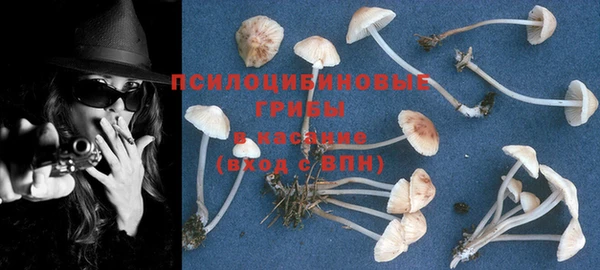 круглые Алексеевка