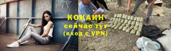 круглые Алексеевка