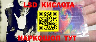 гидра Заводоуковск