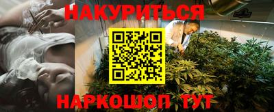 гидра Заводоуковск