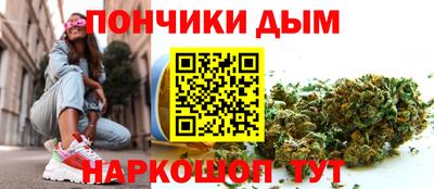 гидра Заводоуковск