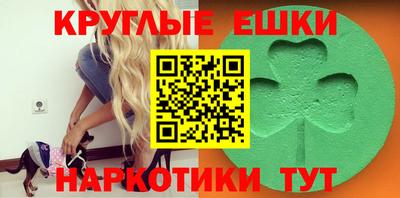 гидра Заводоуковск