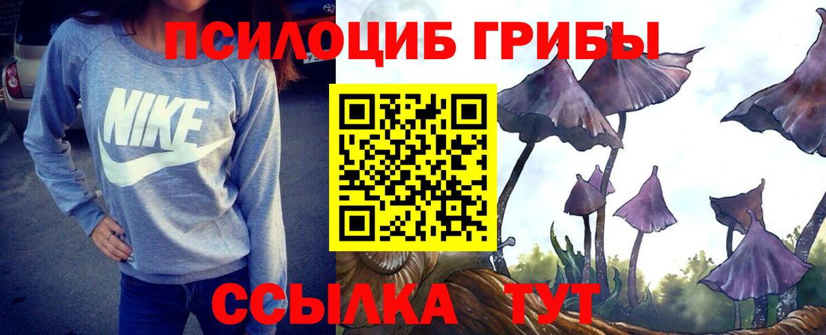 Назрань  Псилоцибиновые грибы Psilocybine cubensis  Вход с VPN 